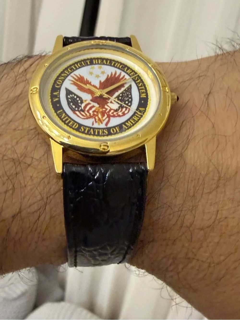 Vintage Image Watches VA Connecticut Healthcare System Quartz Watch 34.4mm